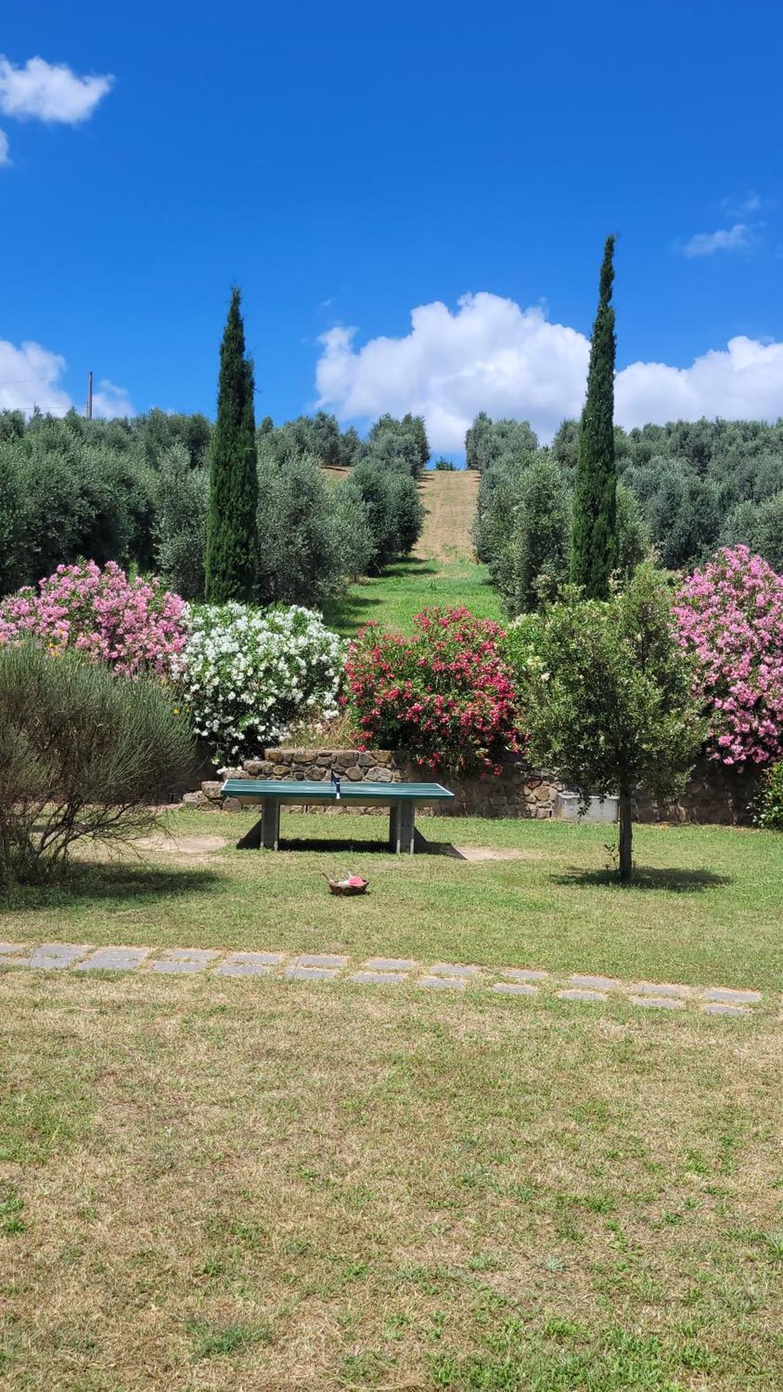 Podere Casalone
